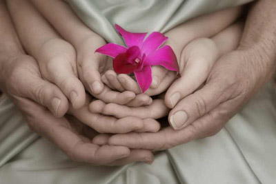 3 generations of hands holding an orchid