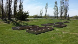 2015 Community Garden